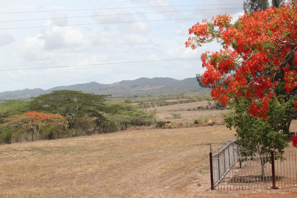 Parador Turtle Bay Inn La Parguera Eksteriør billede