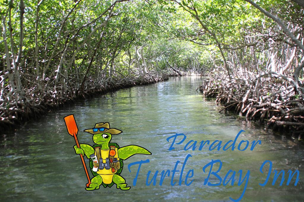 Parador Turtle Bay Inn La Parguera Eksteriør billede
